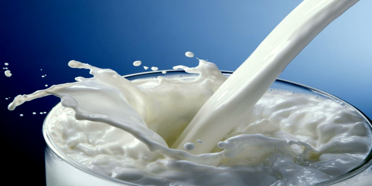 how-drinking-cold-milk-keeps-you-healthy-bol-news-latest-news