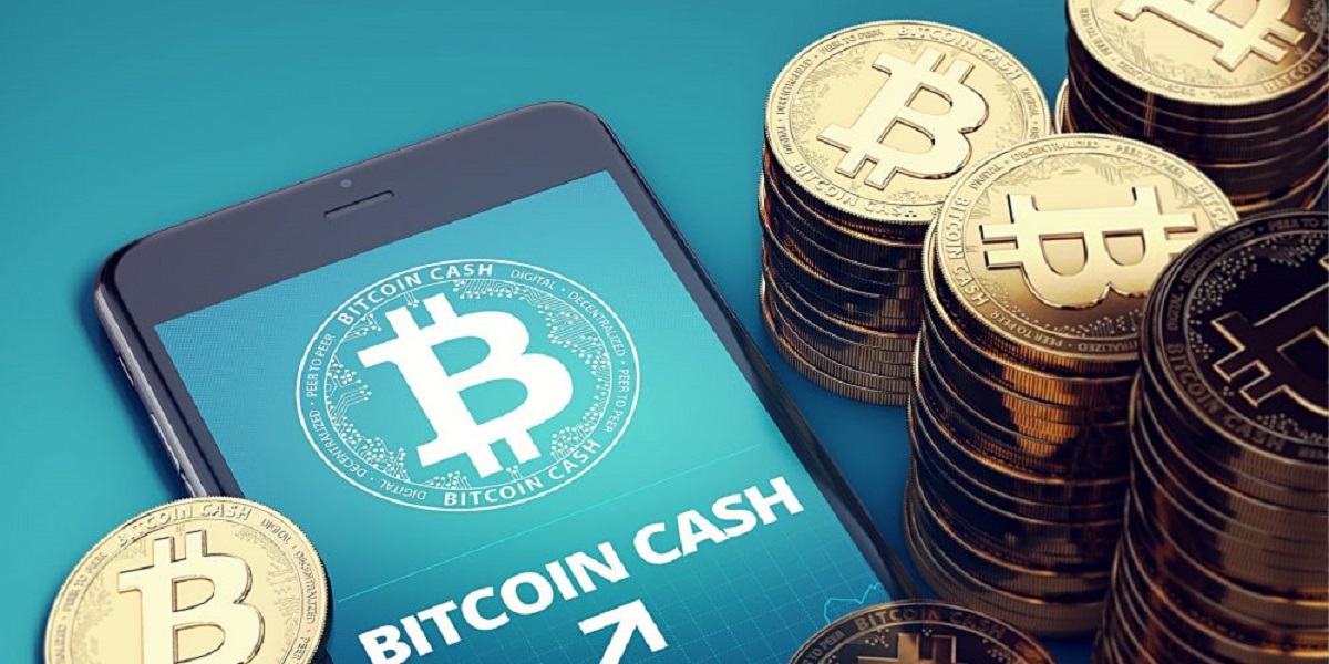 0.1 bitcoin cash to pkr