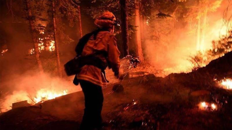 Death Toll From Us Wildfires Hits 33 The Nation World News 6439