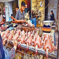 Chicken Prices increased again in different cities