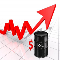 Oil price increases by $1 per barrel as Russian pi...